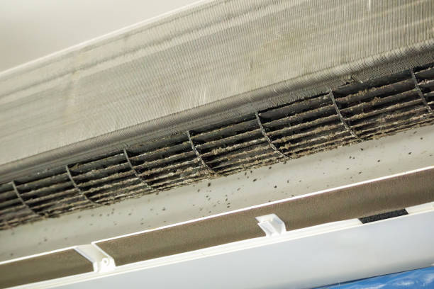 Best Ductwork Cleaning Services  in Lake Shastina, CA